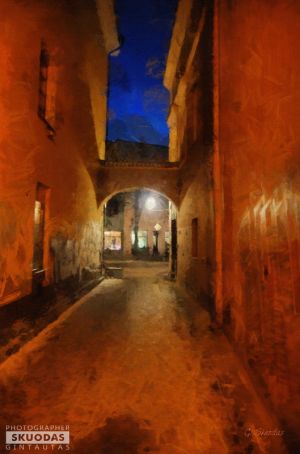  Gintautas Skuodas. Photo from the series "Painting vision". Old Vilnius streets. The photograph is printed on canvas. With support. 44 X 50 cm. 75 €