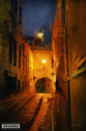 Gintautas Skuodas. Photo from the series "Painting vision". Old Vilnius streets. The photograph is printed on canvas. With support. 33 X 50 cm. 75 €