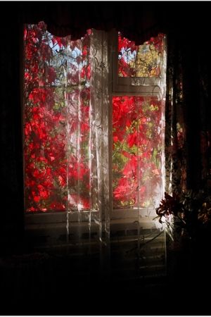 Feliksas Kerpauskas. Photography "Window". The photograph is printed on canvas, wrapped on a frame and ready to hang. 300 €
